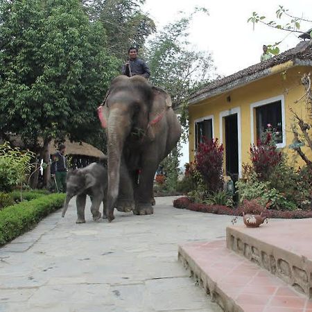 Hotel Sapana Village Lodge Chitwan Exterior photo